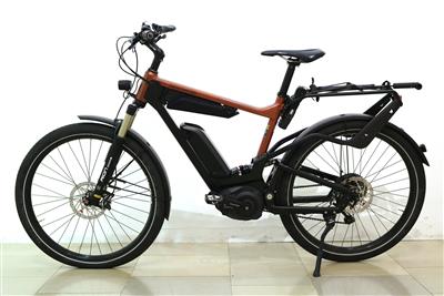 Trekking E-Bike/Speed - Umění a starožitnosti