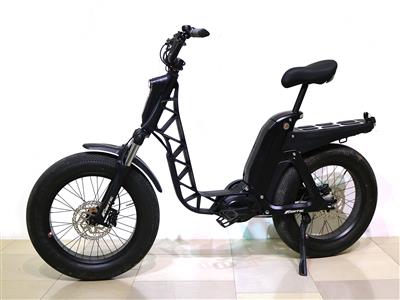 E-Bike Fantic-Issmo - Technik, Handys, Fahrräder