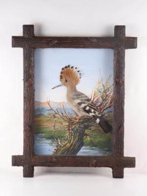 Vogelpräparat Wiedehopf - Kunst, Antiquitäten, Möbel und Technik
