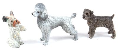 Pudel, 2 Terrier, - Antiquitäten & Bilder<br> (Schwerpunkt: Aquarelle des 19. Jahrhunderts)