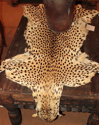 Gepard-Fell (ACINONYX JUBATUS SCHREBER), - Summer-auction