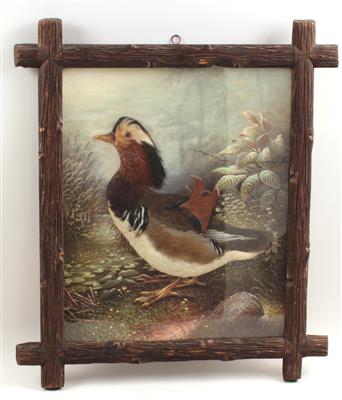 Feder-Reliefbild von Johann Schroll "Mandarinente" - Summer-auction