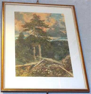 Leopold Rothaug * - Summer-auction