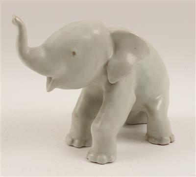 Junger Elefant, - Starožitnosti, Obrazy