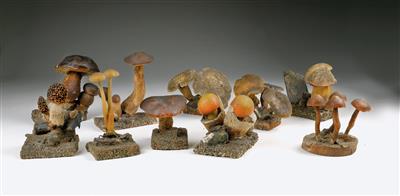 Seltene Sammlung von 10 Pilzmodellen aus Wachs - Sommerauktion - Bilder Varia, Antiquitäten, Möbel/ Design
