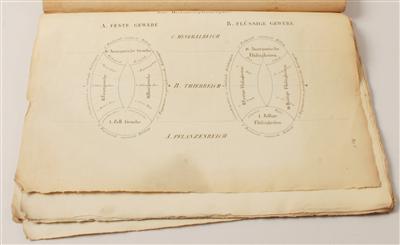 Morphographischer Atlas; oder Schemata zu Dr. J. H. SCHMIDT'S Morphologie, in zwei Bänden. - Antiques and Paintings