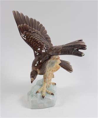 Adler, - Summer-auction
