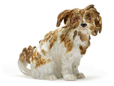 A Bolognese dog, - Starožitnosti (Nábytek, Sochařská díla, Sklo, Porcelán)