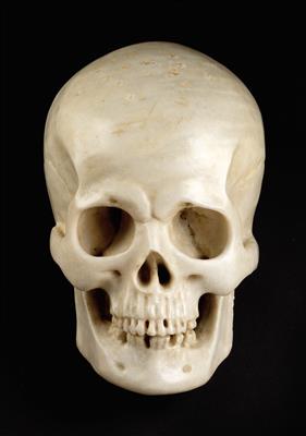A marble skull, a symbol of vanitas, - Oggetti d'arte