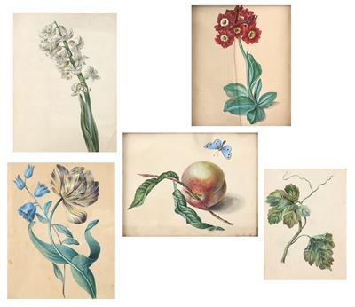 Emilie Kny, um 1840 - Letní aukce Obrazy