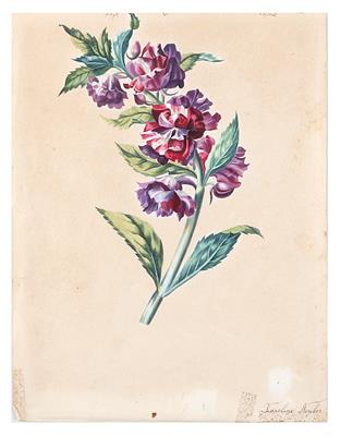 Karoline Neuber, 19. Jahrhundert - Asta estiva Dipinti