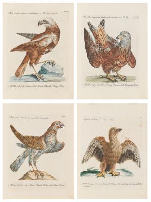 Saverio Manetti - Master drawings, prints until 1900, watercolors and miniatures