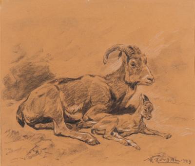 Franz Roubal * - Tisky, kresby a akvarely do roku 1900