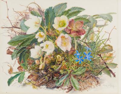Maria Jungwirth - Prints, drawings and watercolors until 1900