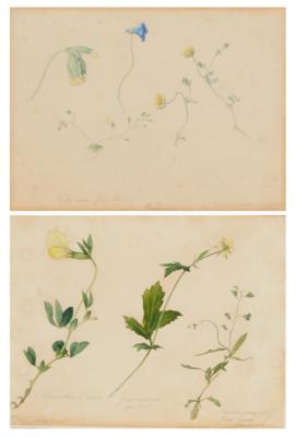 Moritz Michael Daffinger Umkreis/Circle - Prints, drawings and watercolors until 1900