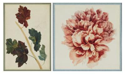 Wiener Blumenmaler, 19. Jahrhundert - Graphiken, Zeichnungen und Aquarelle bis 1900