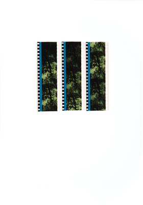 PHILIPP FLEISCHMANN Testaufnahmen (2012) im Garten Wiener Secession für Main Hall(2013) 35 mm Farbfilm, - CHARITY Auktion in der Akademie der Bildenden Künste