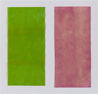 Jelena Micić, Color Catcher (Kiwi Extract (greens and beet red)) - Akademie-Online-Benefizauktion 2022