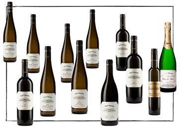 Sepp Moser, Rohrendorfer Sortiments-Paket mit 12 verschiedenen Weinen aus Top-Lagen - Charitativní aukce vín ve prospěch sdružení Projekt Integrationshaus