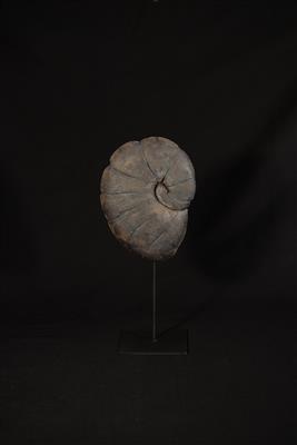 Karin Eisler, „Ammonit“ - Charitativní aukce umění ve prospěch organizace TwoWings "Uvolnění lidského potenciálu