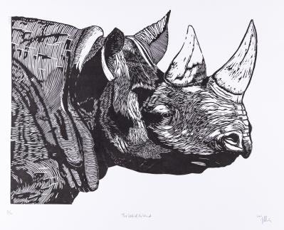 Bernhard Cociancig, "Rhino" - Charity-Kunstauktion zugunsten des Wiener Tierschutzvereins