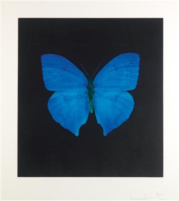 Damien Hirst * - Arte contemporanea