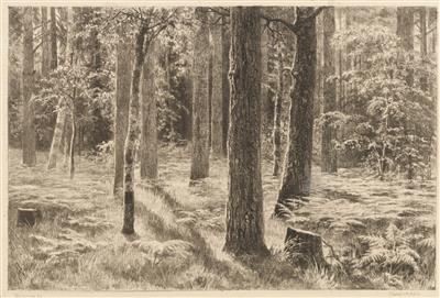 Iwan Iwanowitsch Schischkin (Shishkin) - Obrazy 19. století