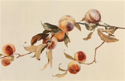 Rudolf Ribarz - Mistrovské kresby, Tisky do roku 1900, Akvarely a miniatury