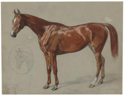 Emil Adam (Munich 1843 - 1924) - "Indienne", the favourite riding horse of Her Majesty Queen Marie of Naples, - Imperial Court Memorabilia & Historical Objects