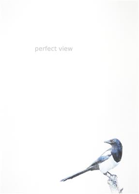 Alfredo Barsuglia, Perfect view, 2020 - Artists for Children Charity-Kunstauktion