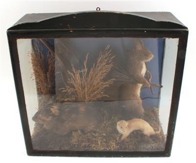 A c. 1880 taxidermy Diorama - Antique Scientific Instruments and Globes