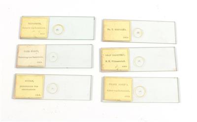 A collection of twelve 19th century microphotographic slides - Antique Scientific Instruments and Globes