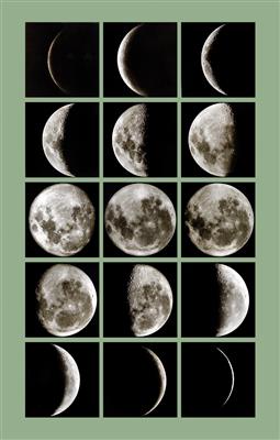 15 Photographs of the Moon phases - Strumenti scientifici e globi d'epoca