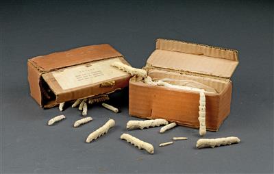 Zwei Kartonschachteln mit Raupenmodellen - Historische wissenschaftliche Instrumente, Modelle und Globen