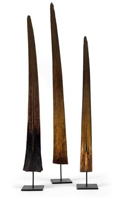 Drei Schwertfisch-Rostri - Historische wissenschaftliche Instrumente, Modelle und Globen, Fotoapparate