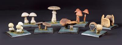 Eight c. 1900 painted plaster Mushroom Models - Historische wissenschaftliche Instrumente und Globen - Klassische Fotoapparate und Zubehör