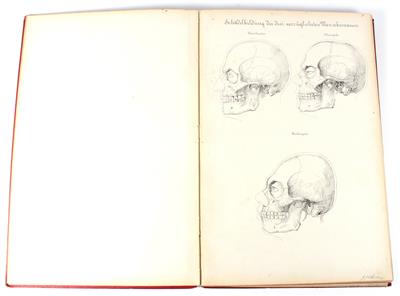 Atlas of Anatomy - Historische wissenschaftliche Instrumente und Globen - Klassische Fotoapparate und Zubehör