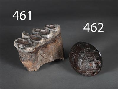 Mineralisierter Zahn eines Mastodon - Historische wissenschaftliche Instrumente und Globen - Klassische Fotoapparate und Zubehör