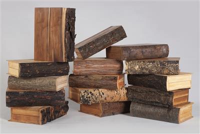 Xylothek, 15 Stück Holzkassetten in Buchform - Historische wissenschaftliche Instrumente und Globen - Klassische Fotoapparate und Zubehör
