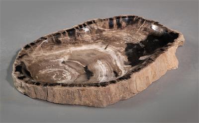 A large fossile wood bowl - Historické vědecké přístroje, globusy a fotoaparáty