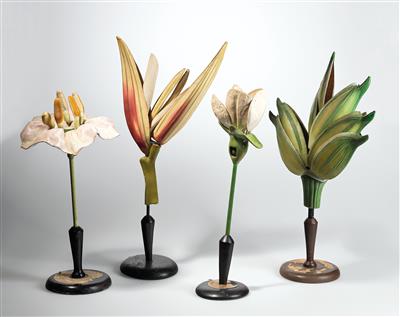 Four botanical Models - Antique Scientific Instruments and Globes; Classic Cameras