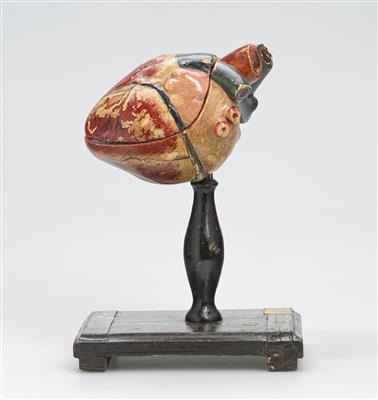 Modell eines menschlichen Herzens - Antique Scientific Instruments, Globes and Cameras
