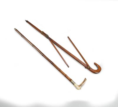 Two accessorised walking sticks - La collezione di bilance e pesi del Dr. Eiselmayr