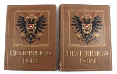 2 Bücher, - Historische Waffen, Uniformen, Militaria; Sonderteil: Die k.u.k. Armee im Ersten Weltkrieg