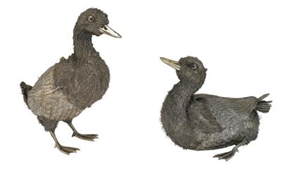 2 Ducks, - Silver and Russian Silver