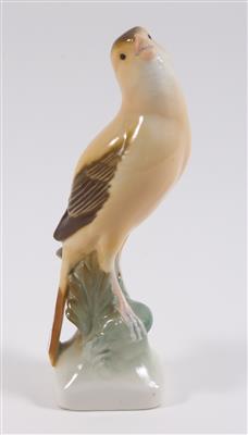 Singender Kanarienvogel, - Antiquitäten