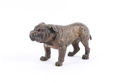 Englische Bulldogge, - Antiques