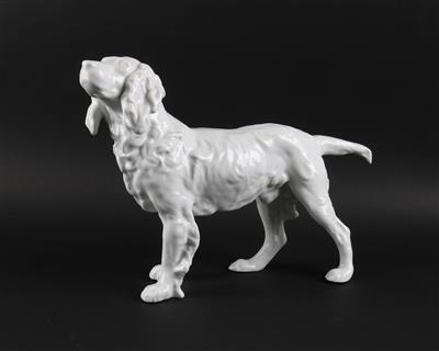 Springer Spaniel, - Antiquariato