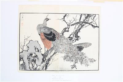 Kono Barai (1844-1894) - Antiques