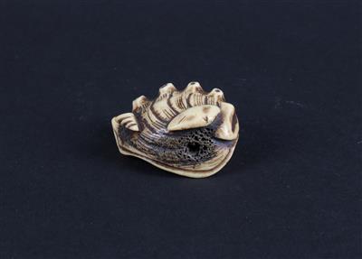 Netsuke eines Meerohres mit Muscheln, - Asiatica